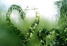 31省区市新增12例本土确诊, 永年县疫情最新消息